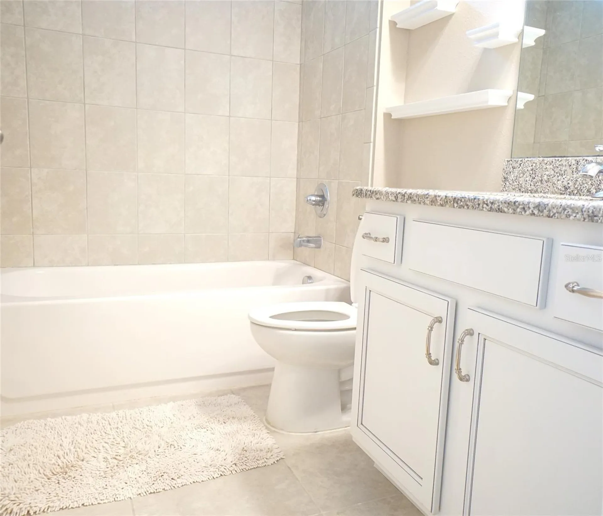 1325 Cadence Court Brandon FL 33511