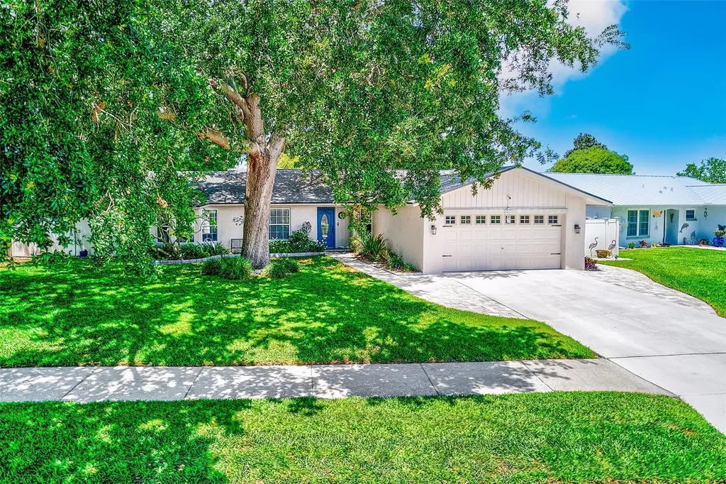 486 Belmist Court Dunedin FL 34698