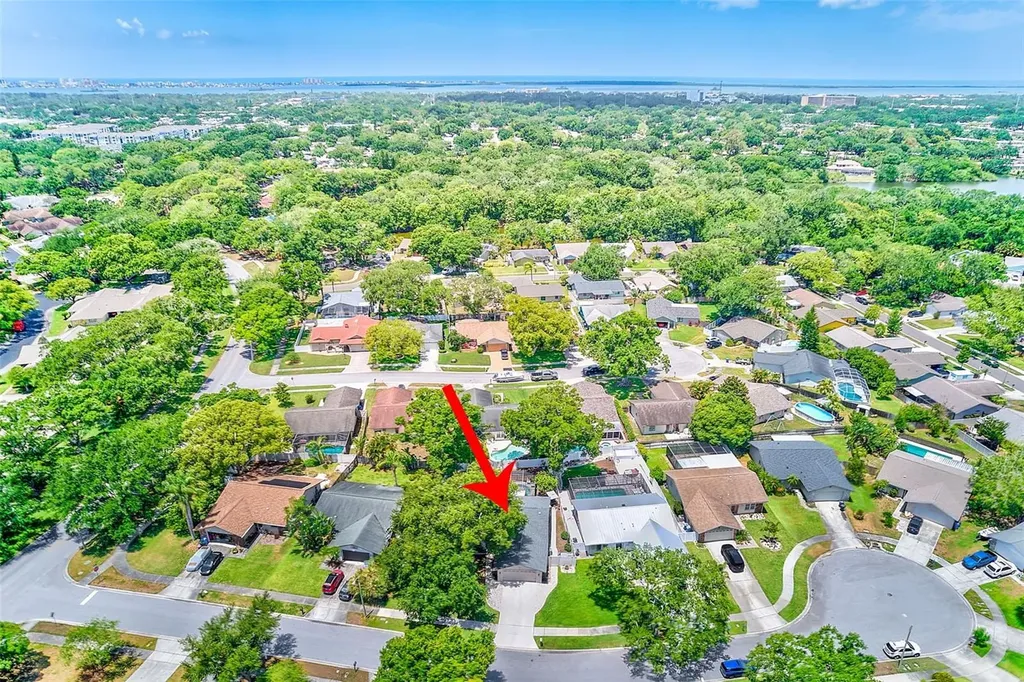 486 Belmist Court Dunedin FL 34698