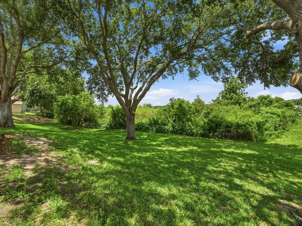 1431 Lake Villa Drive Tavares FL 32778