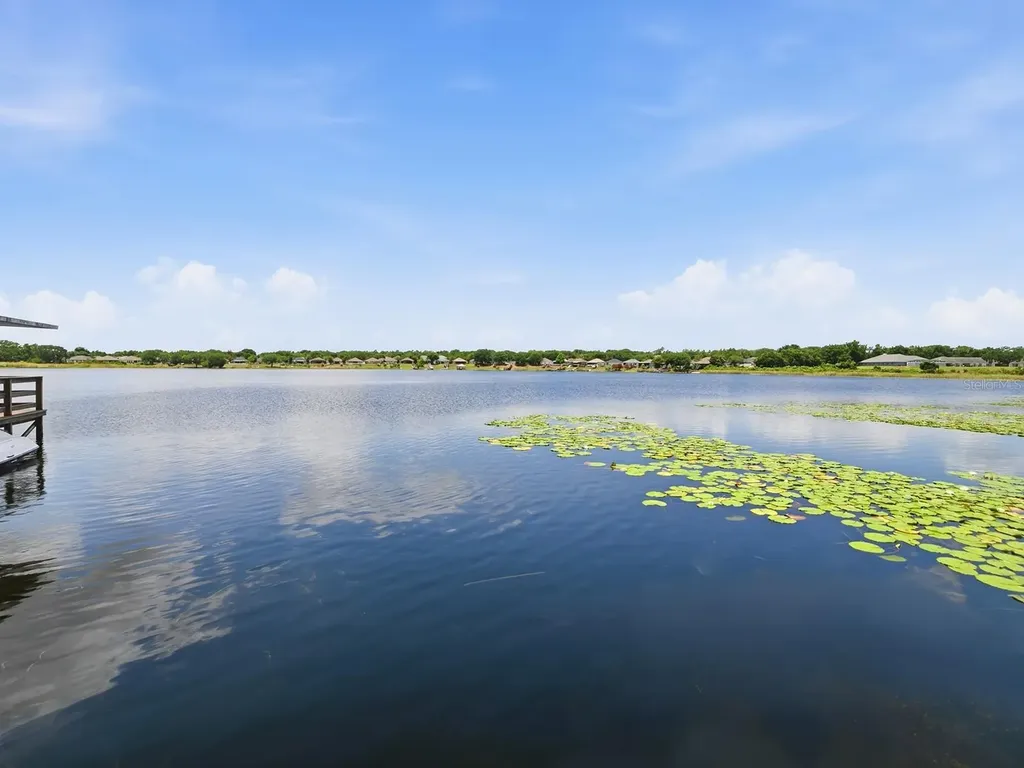 1431 Lake Villa Drive Tavares FL 32778