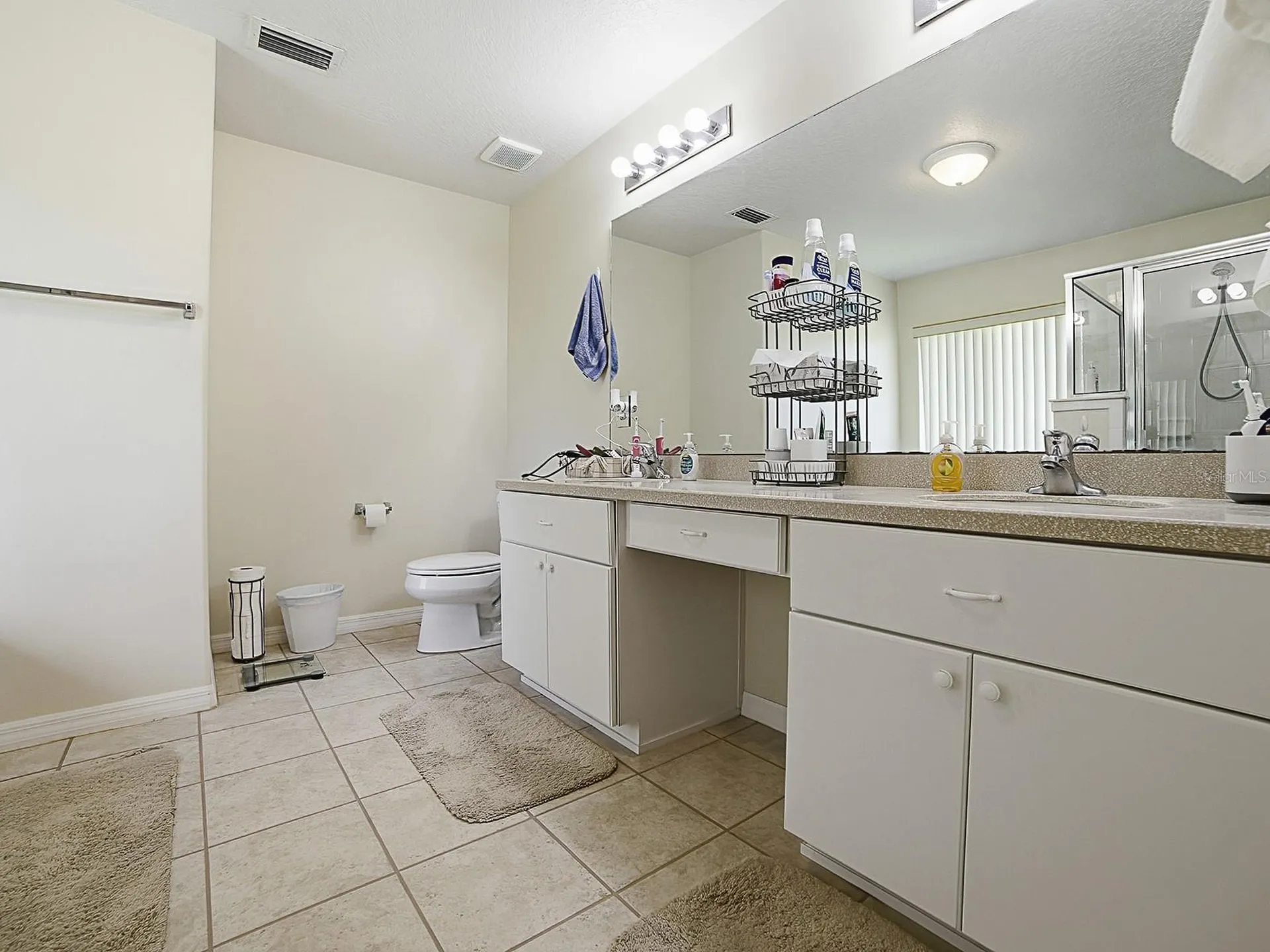 1431 Lake Villa Drive Tavares FL 32778