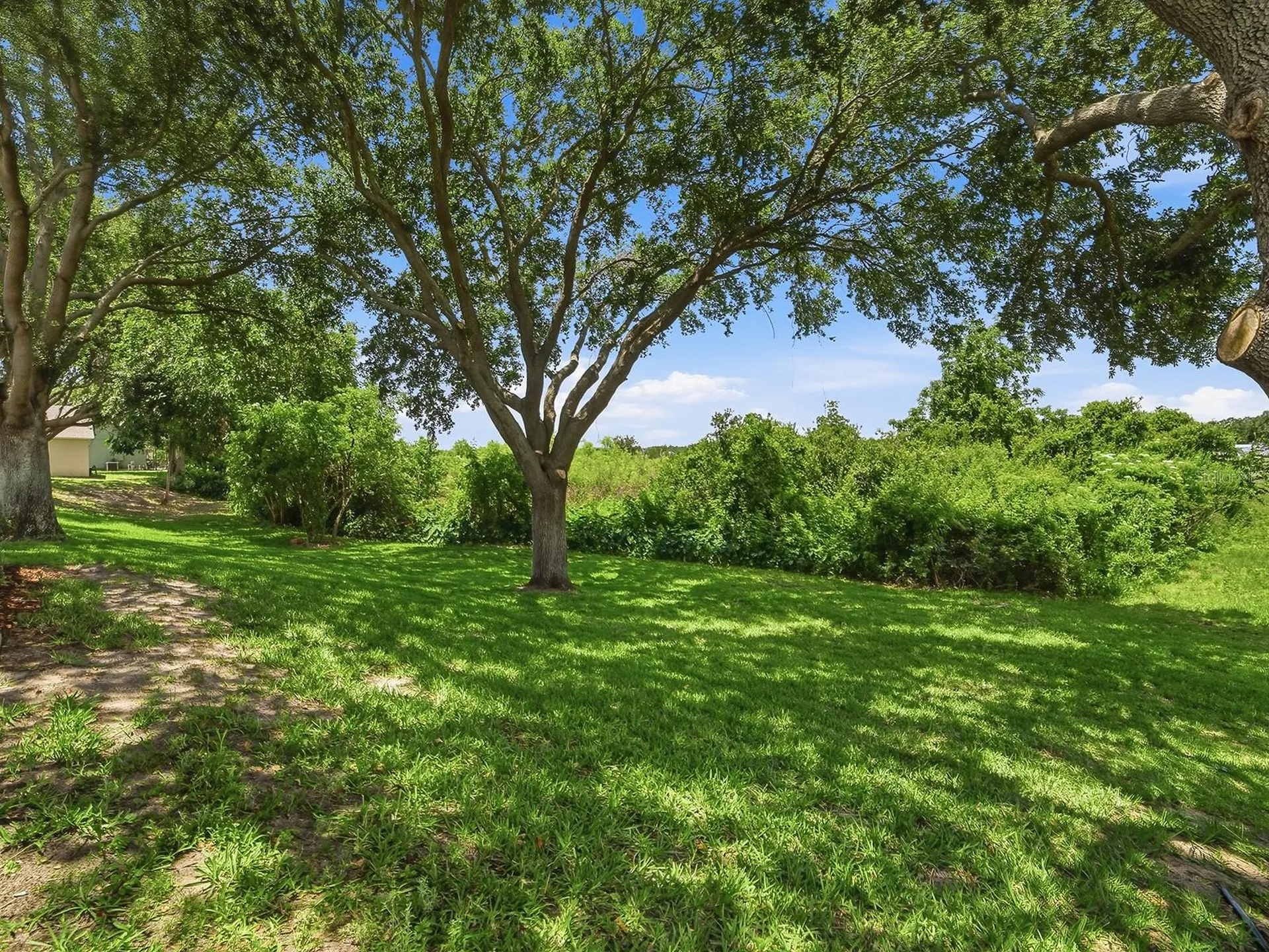 1431 Lake Villa Drive Tavares FL 32778