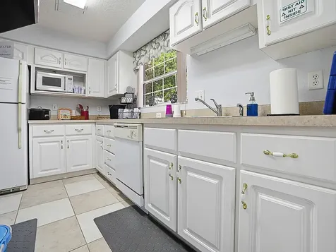 1431 Lake Villa Drive Tavares FL 32778