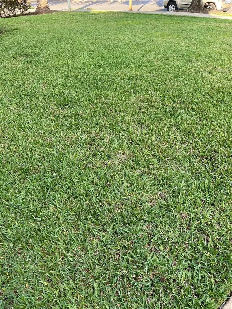 2204 Kettle Drive Orlando FL 32835