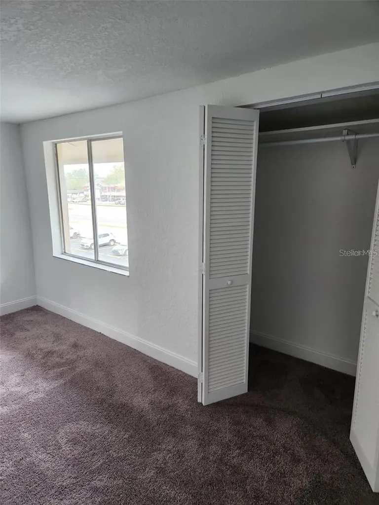 7516 Needle Leaf Place Tampa FL 33617
