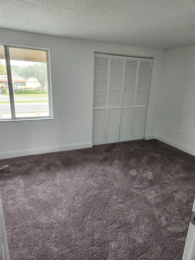 7516 Needle Leaf Place Tampa FL 33617