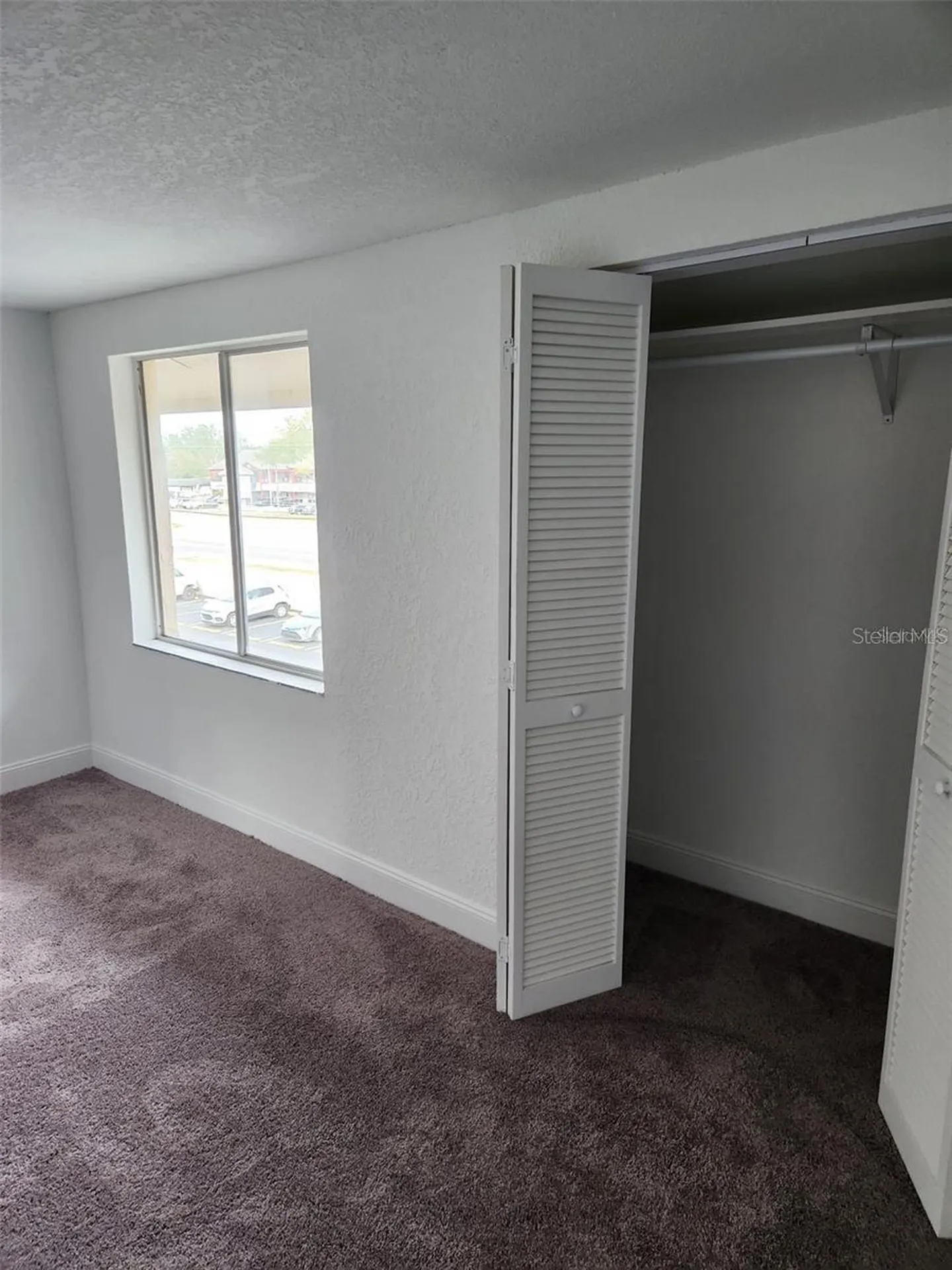 7516 Needle Leaf Place Tampa FL 33617