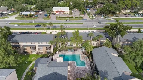 7516 Needle Leaf Place Tampa FL 33617