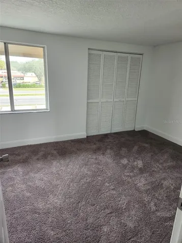 7516 Needle Leaf Place Tampa FL 33617