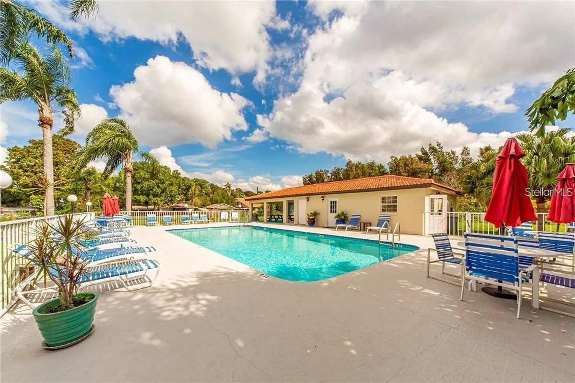 2571 Cyprus Drive Palm Harbor FL 34684