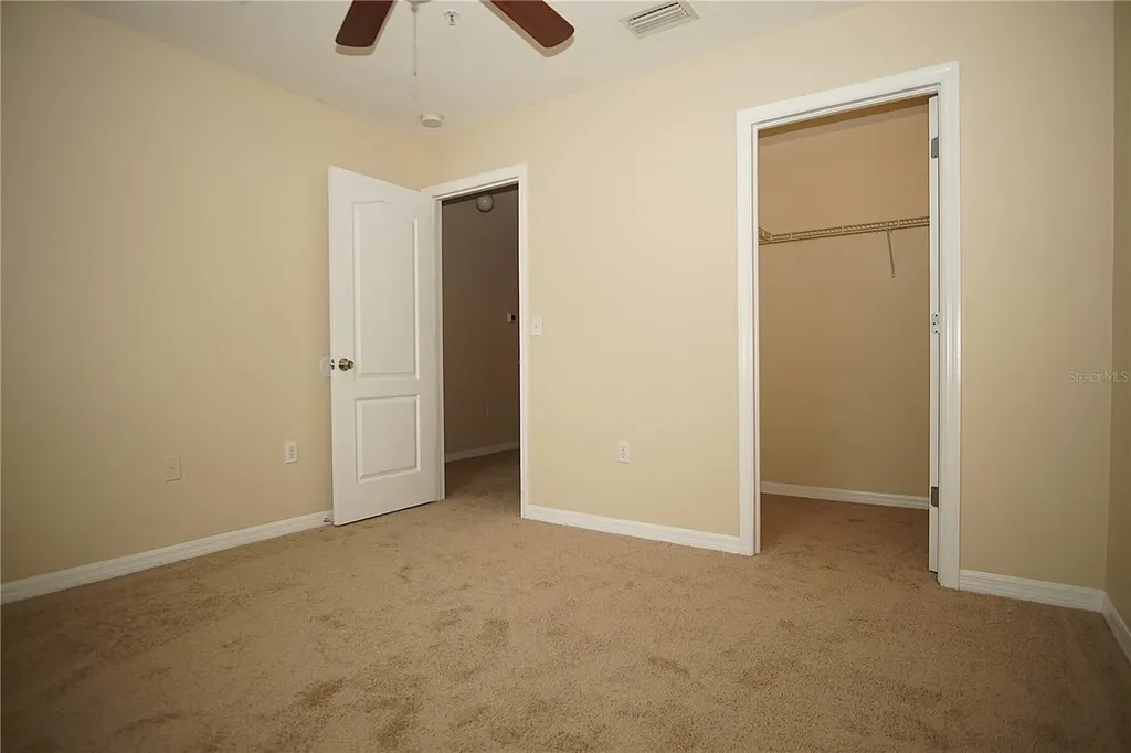 11406 Marbella Terrace Street Tampa FL 33637