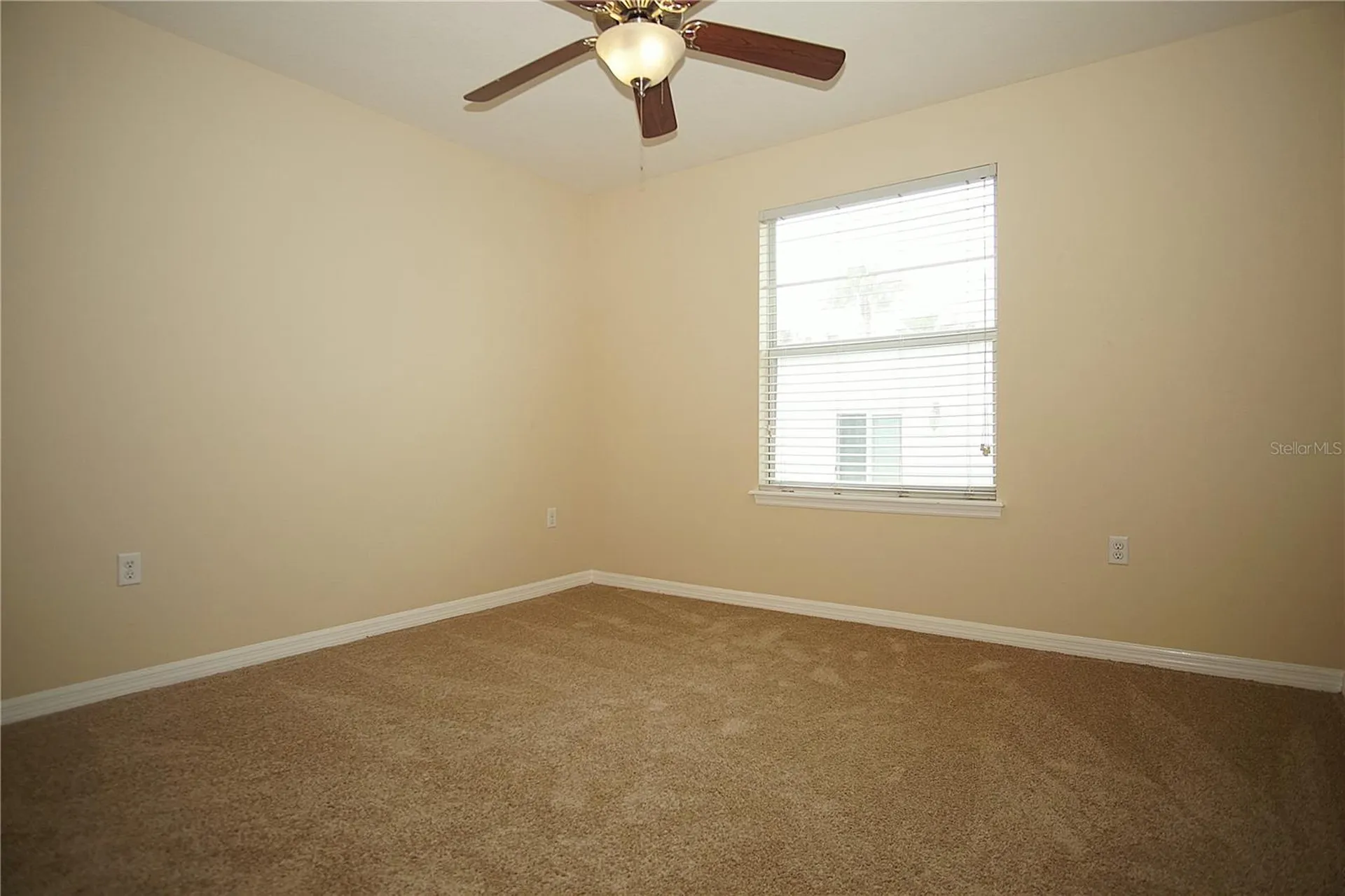11406 Marbella Terrace Street Tampa FL 33637