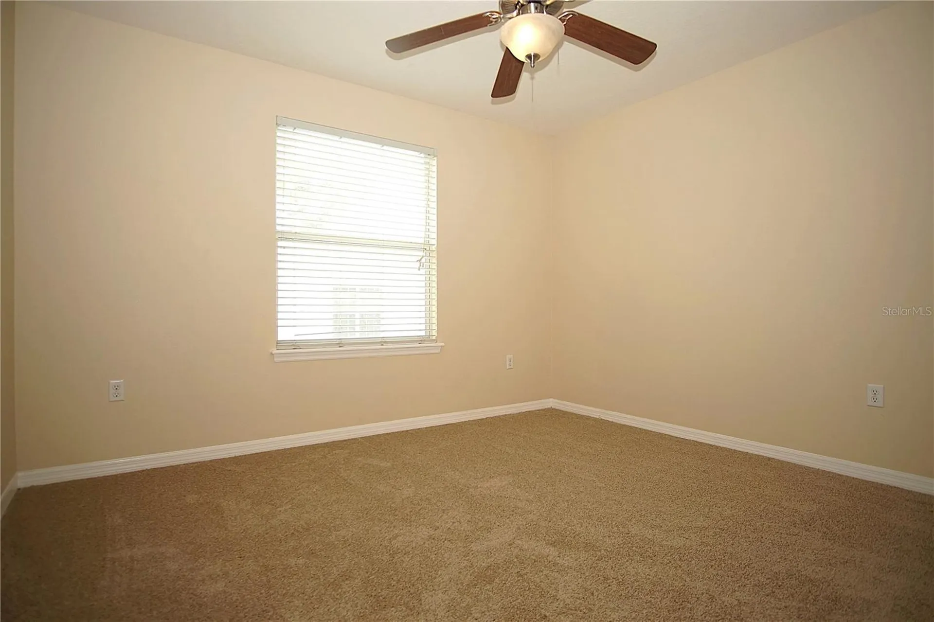 11406 Marbella Terrace Street Tampa FL 33637