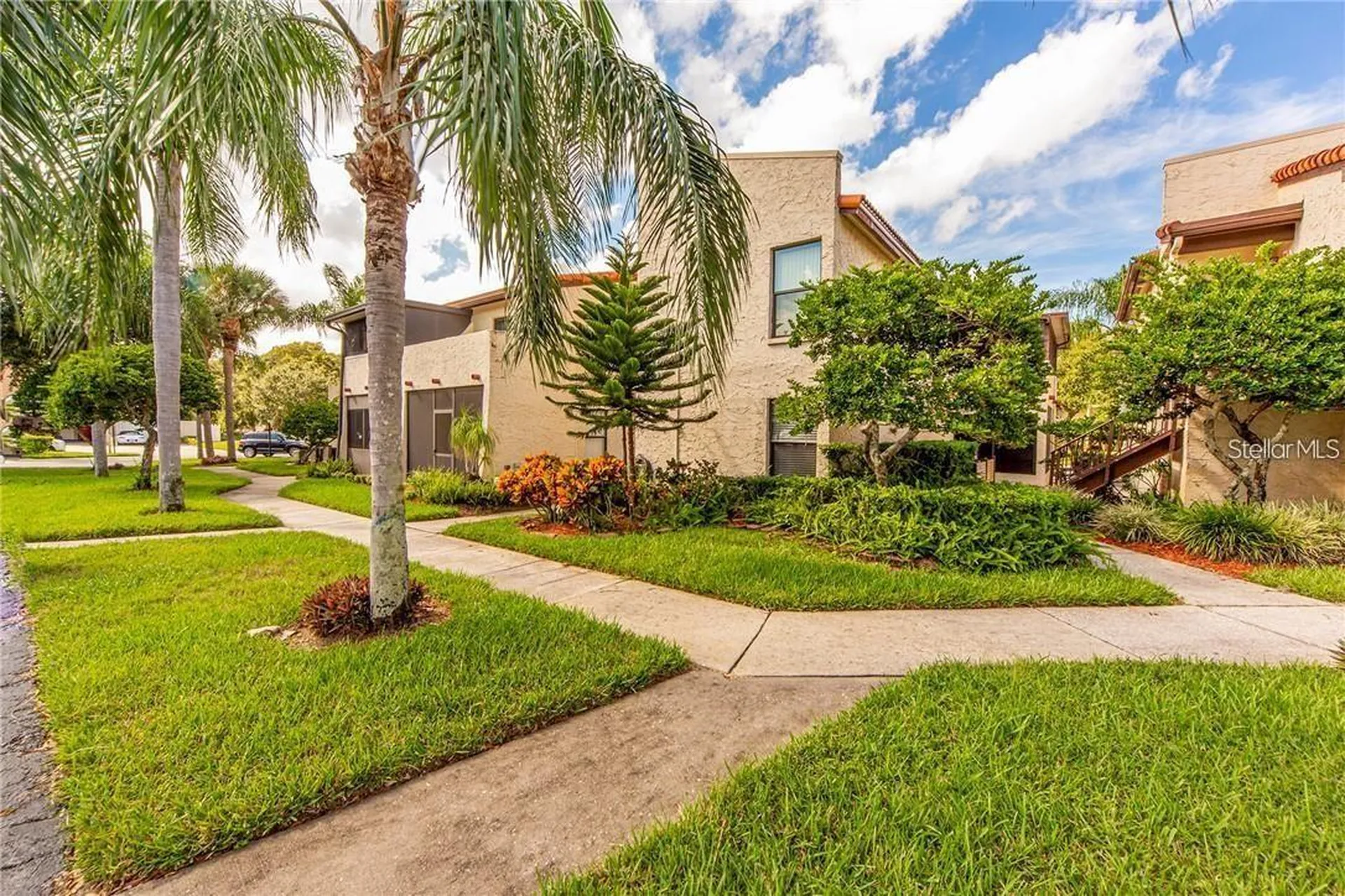 2571 Cyprus Drive Palm Harbor FL 34684