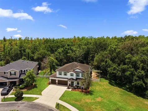 4130 Granite Glen Loop Wesley Chapel FL 33544