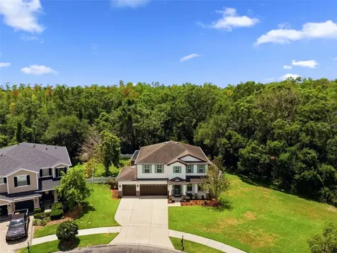 4130 Granite Glen Loop Wesley Chapel FL 33544