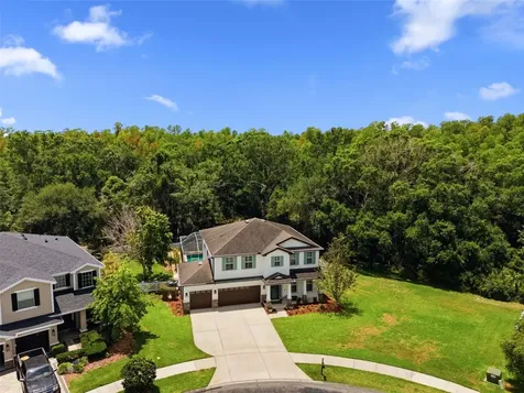 4130 Granite Glen Loop Wesley Chapel FL 33544