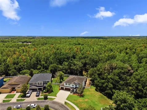 4130 Granite Glen Loop Wesley Chapel FL 33544