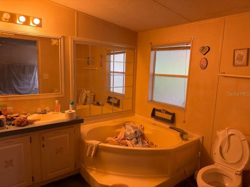2011 Pinewood Lane Mount Dora FL 32757