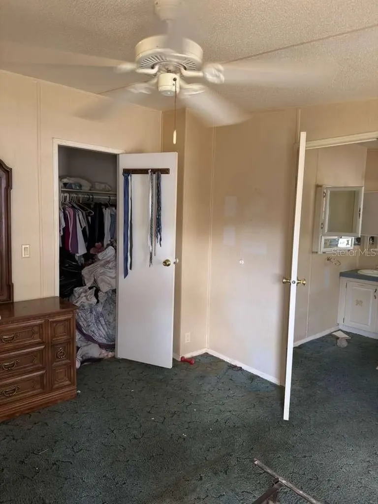 2011 Pinewood Lane Mount Dora FL 32757