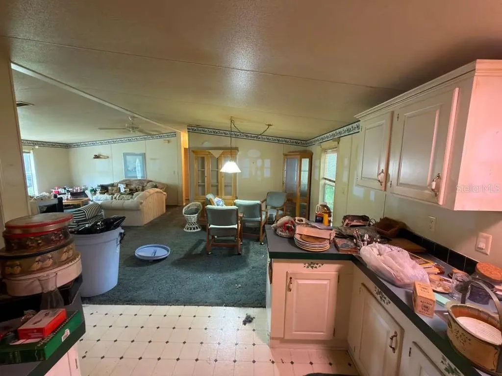 2011 Pinewood Lane Mount Dora FL 32757