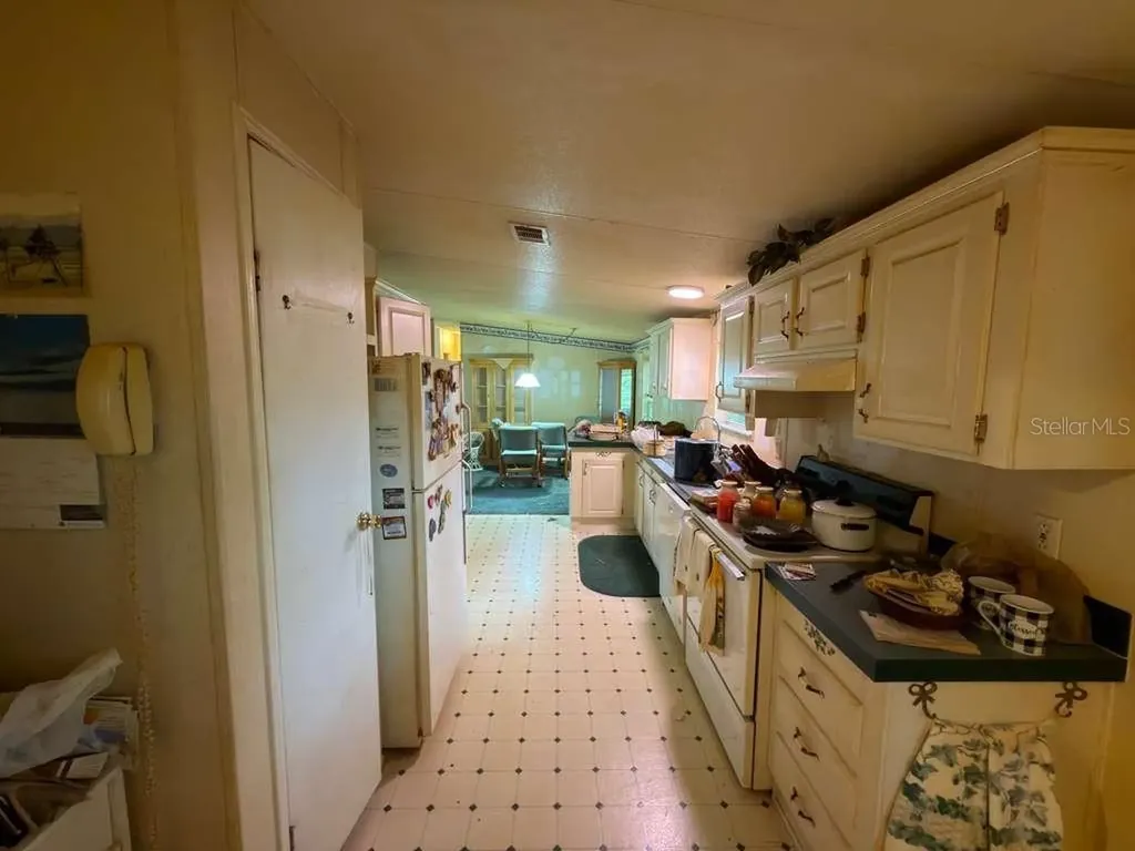 2011 Pinewood Lane Mount Dora FL 32757
