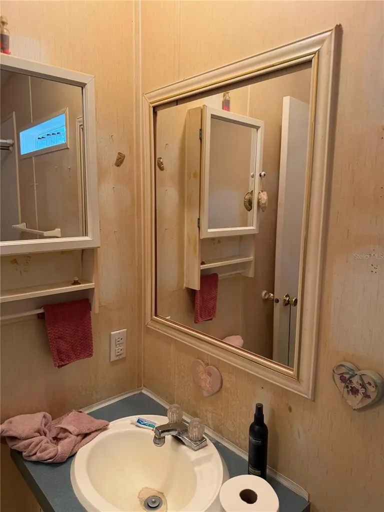 2011 Pinewood Lane Mount Dora FL 32757