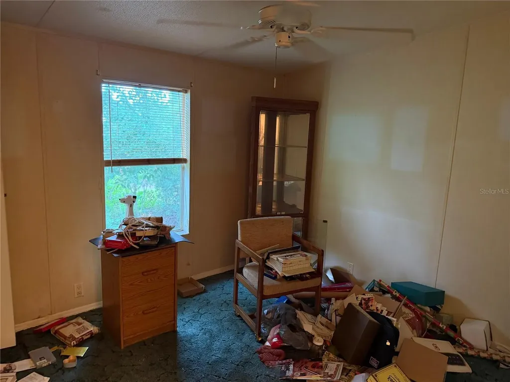 2011 Pinewood Lane Mount Dora FL 32757