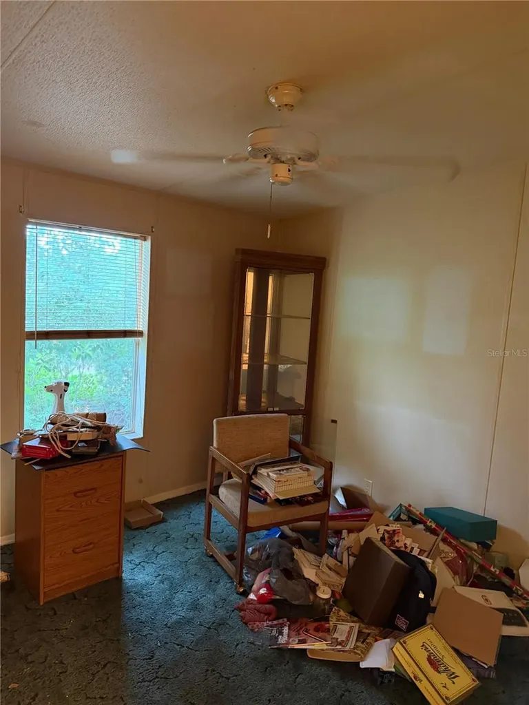 2011 Pinewood Lane Mount Dora FL 32757