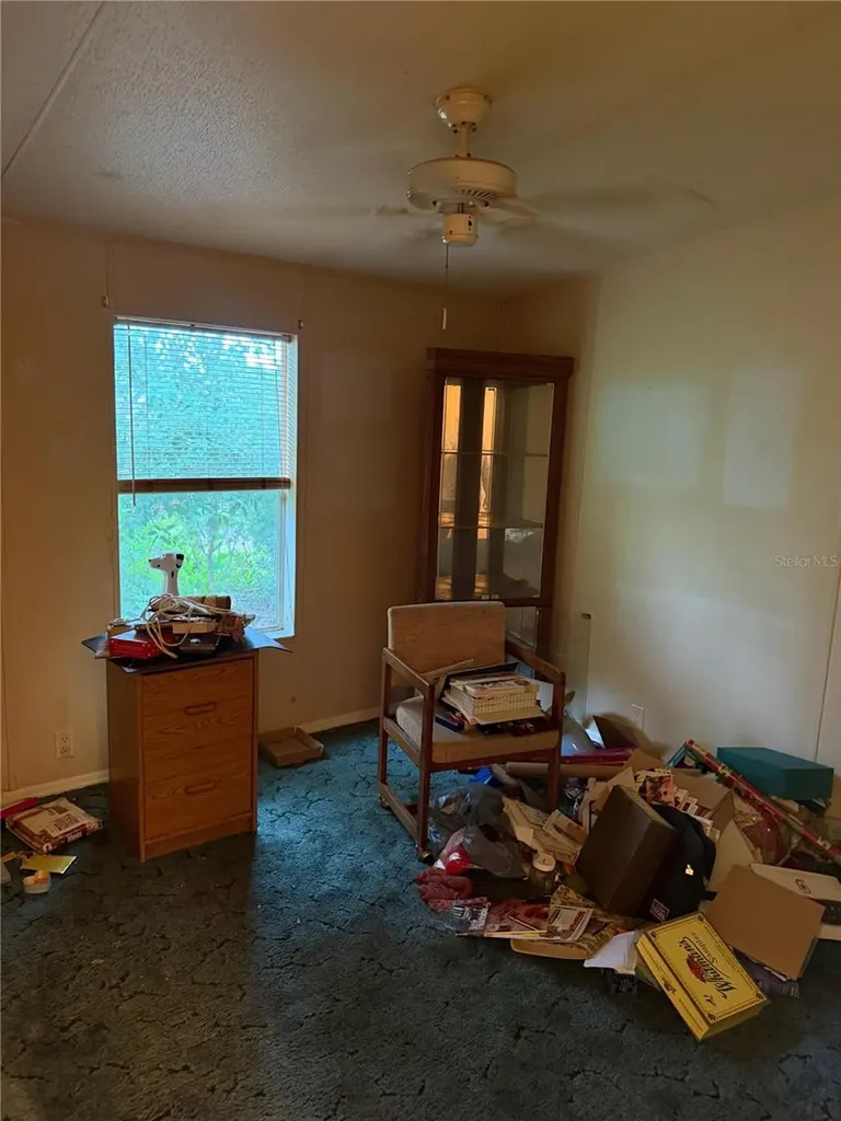 2011 Pinewood Lane Mount Dora FL 32757