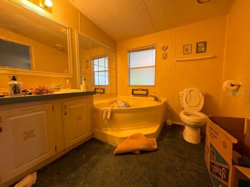 2011 Pinewood Lane Mount Dora FL 32757