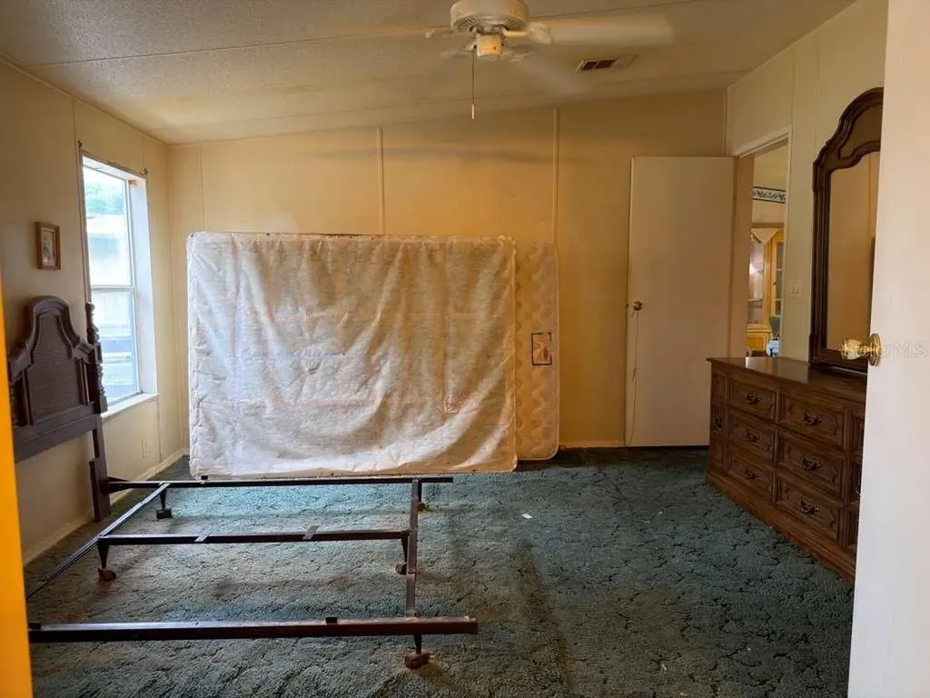 2011 Pinewood Lane Mount Dora FL 32757