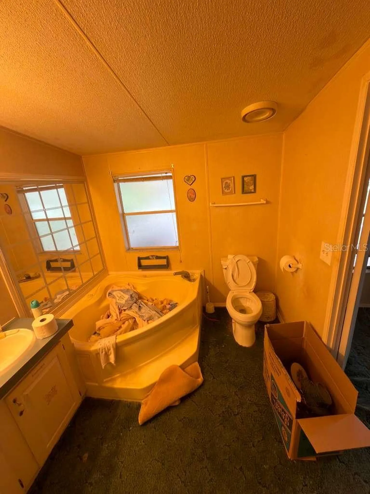 2011 Pinewood Lane Mount Dora FL 32757