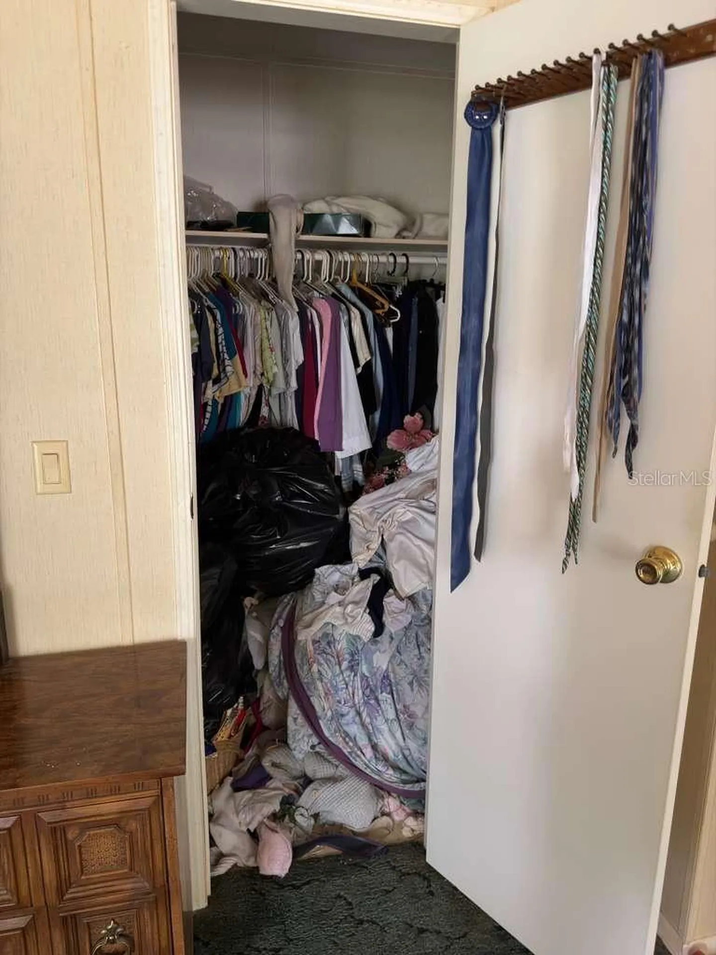 2011 Pinewood Lane Mount Dora FL 32757
