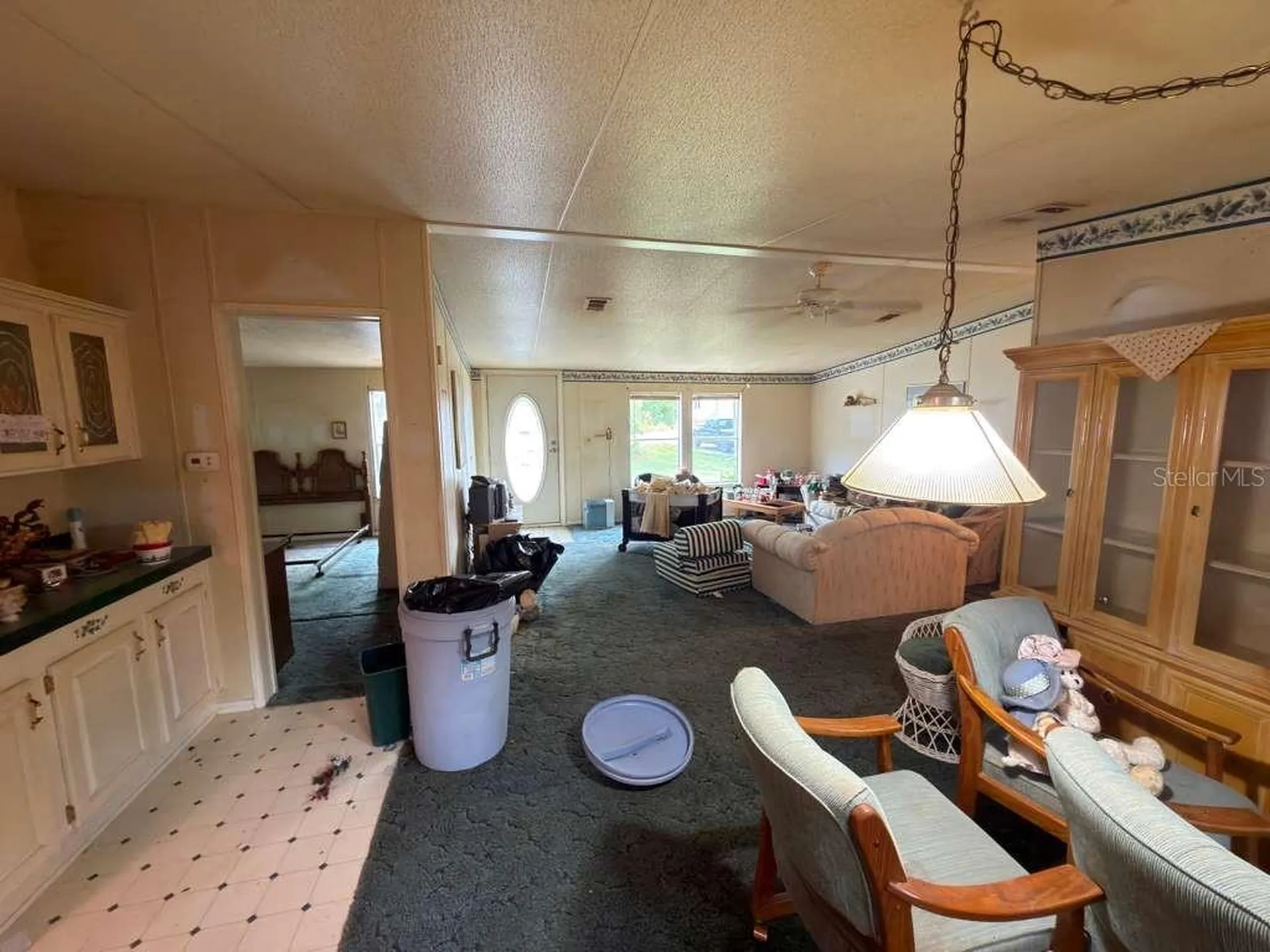 2011 Pinewood Lane Mount Dora FL 32757