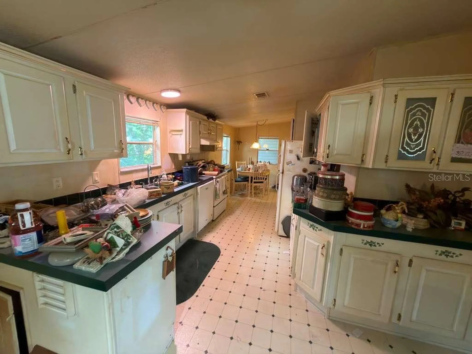 2011 Pinewood Lane Mount Dora FL 32757