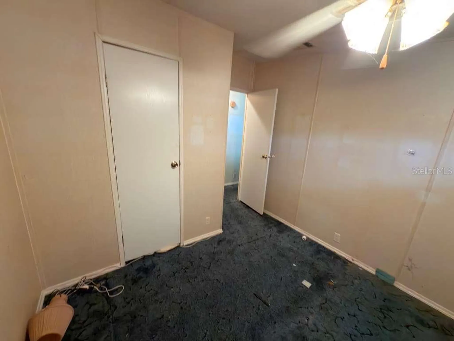 2011 Pinewood Lane Mount Dora FL 32757