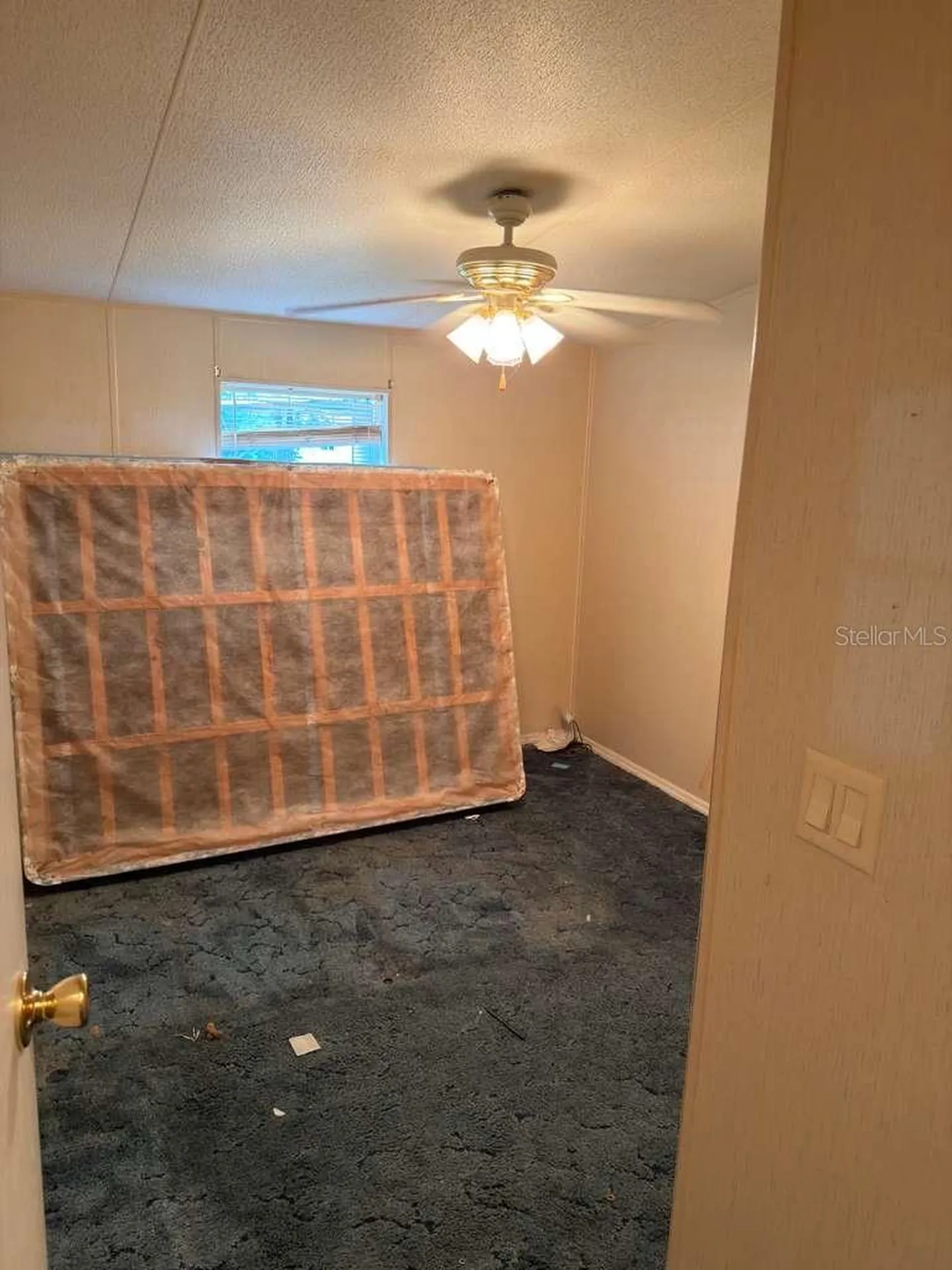 2011 Pinewood Lane Mount Dora FL 32757