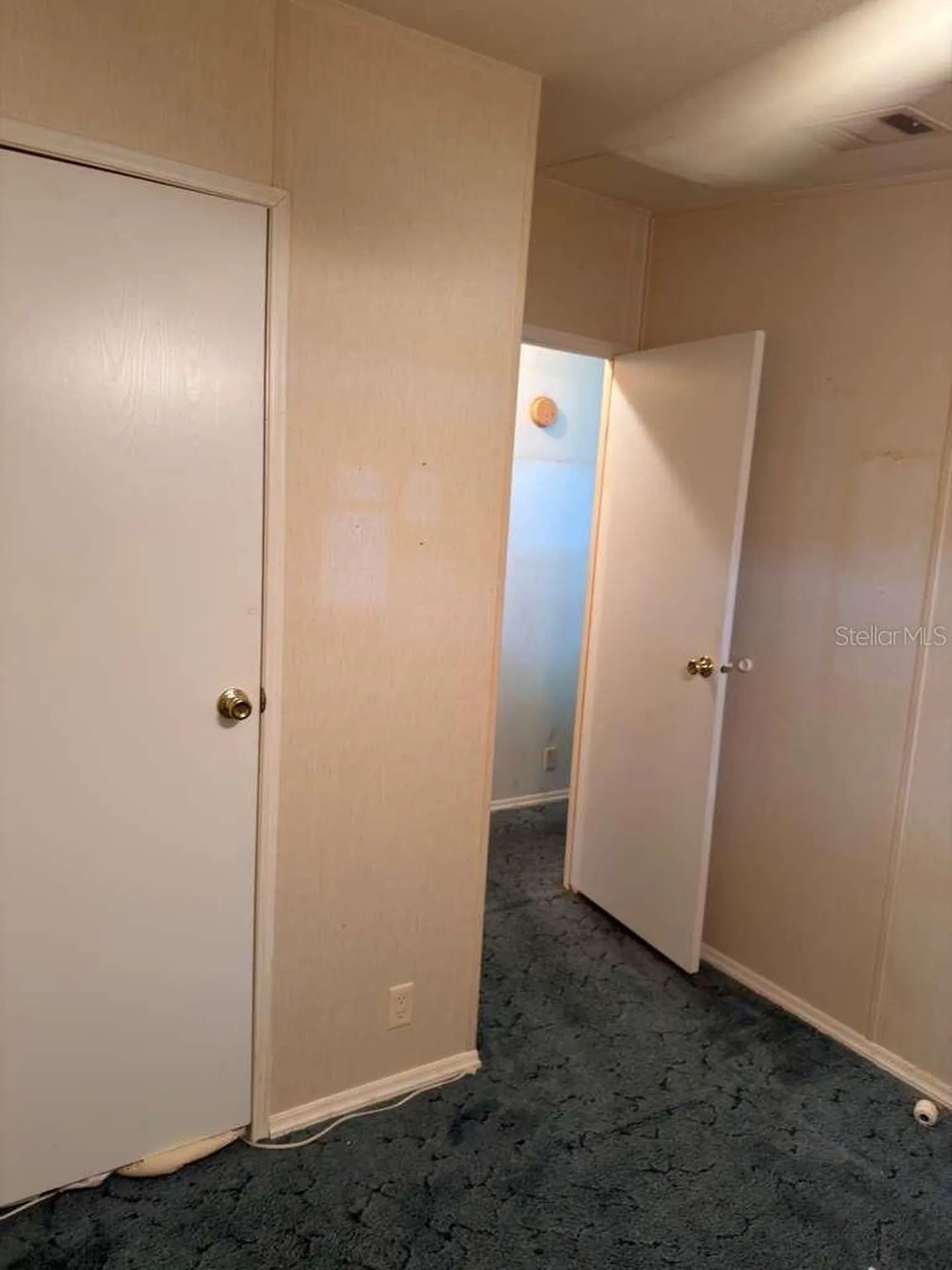 2011 Pinewood Lane Mount Dora FL 32757