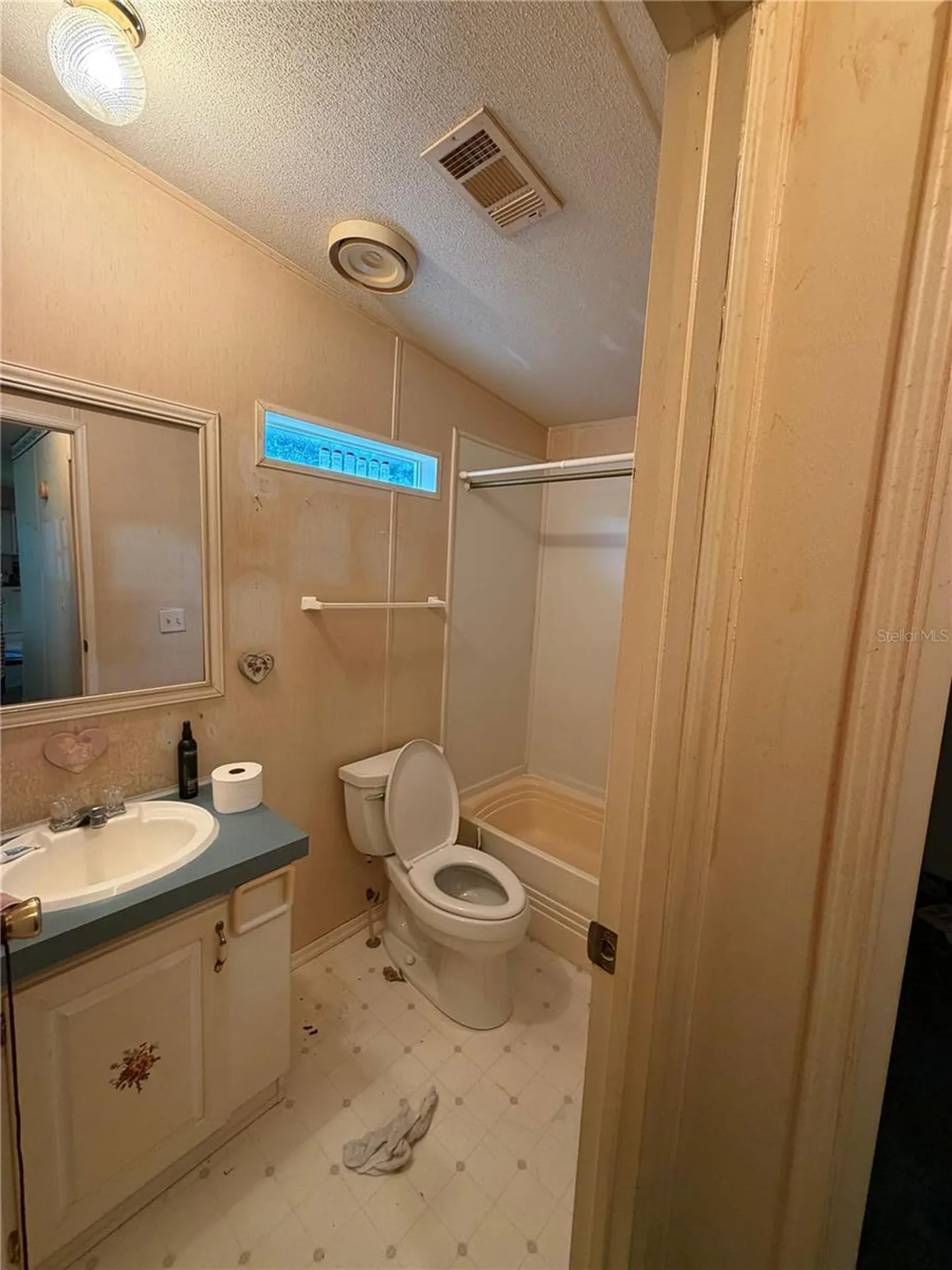 2011 Pinewood Lane Mount Dora FL 32757