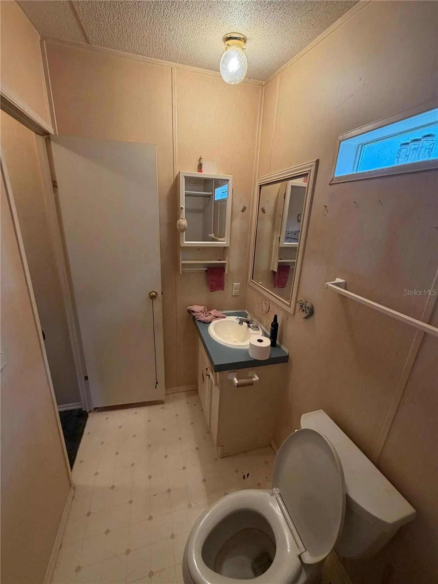2011 Pinewood Lane Mount Dora FL 32757