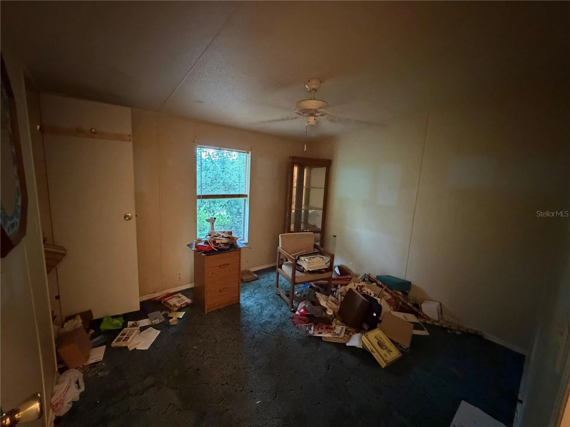 2011 Pinewood Lane Mount Dora FL 32757