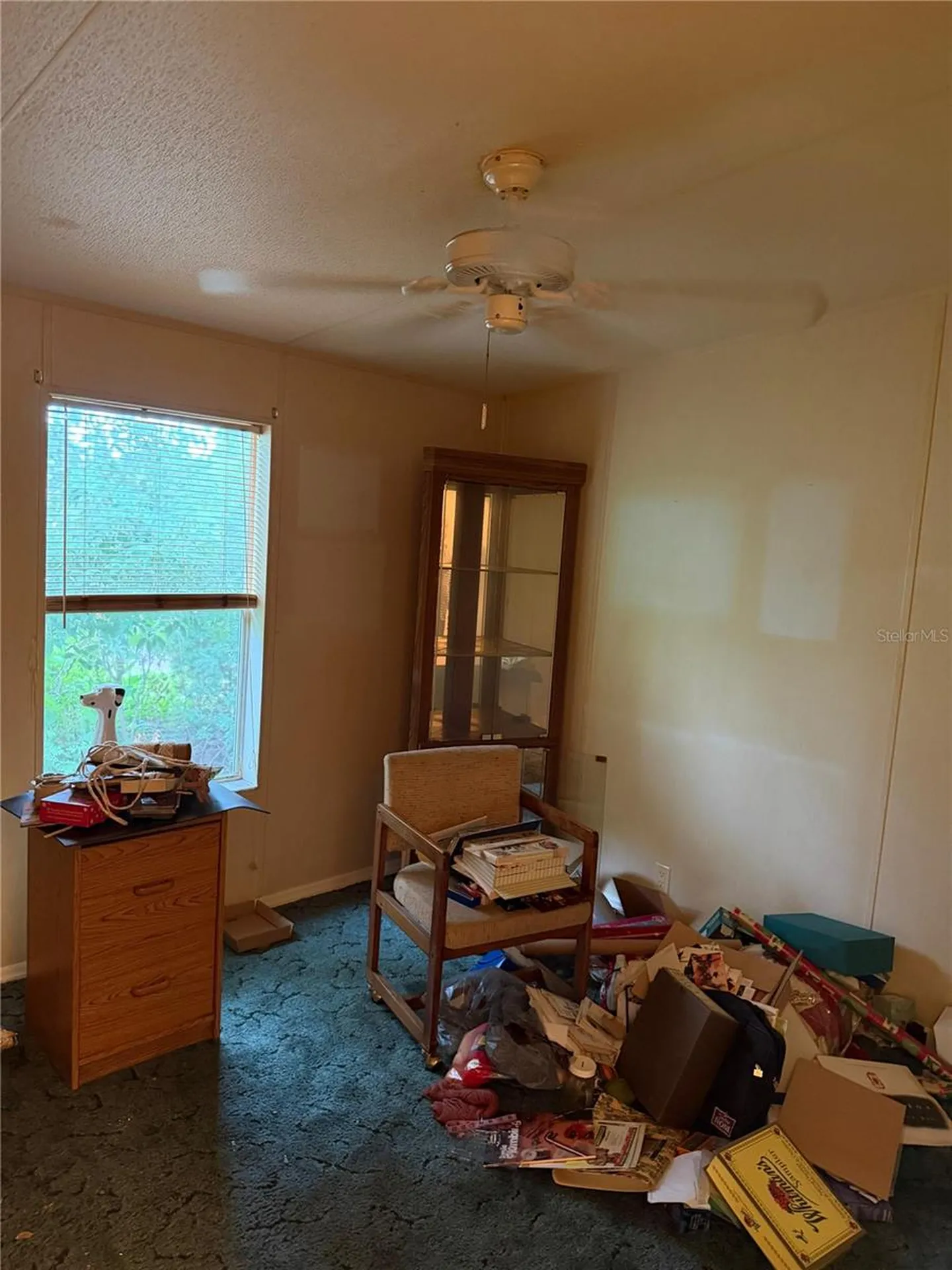 2011 Pinewood Lane Mount Dora FL 32757