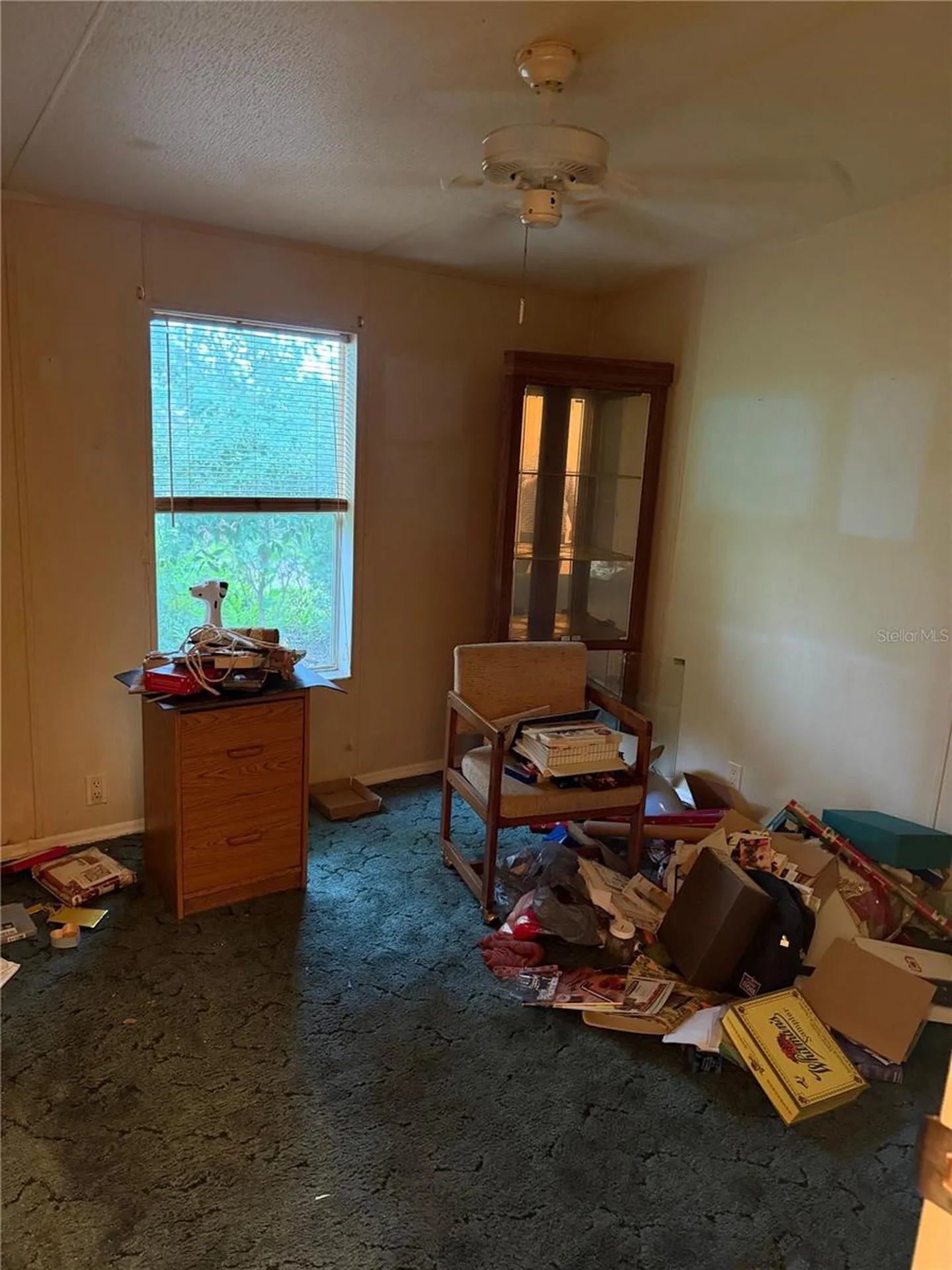 2011 Pinewood Lane Mount Dora FL 32757