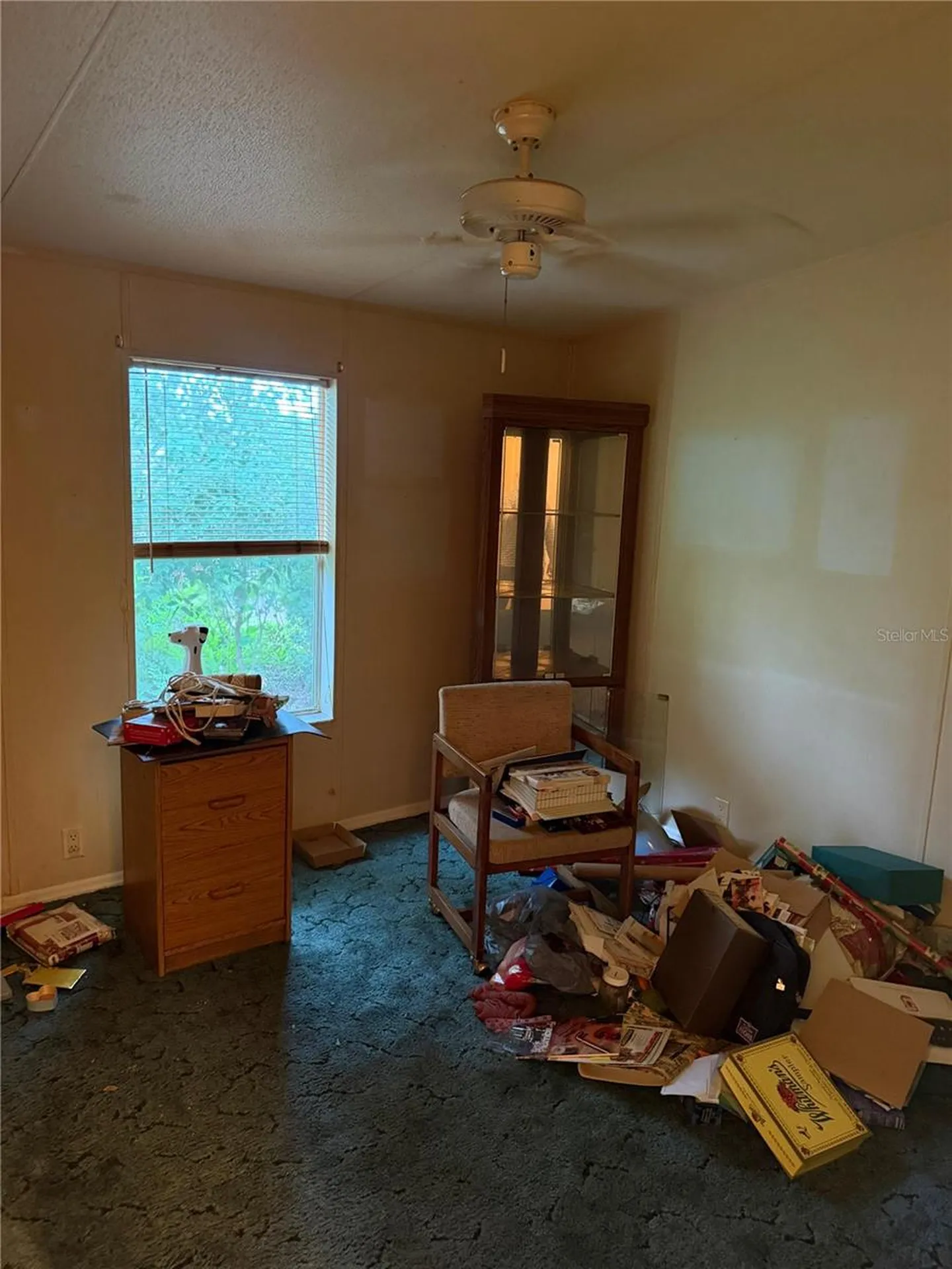 2011 Pinewood Lane Mount Dora FL 32757