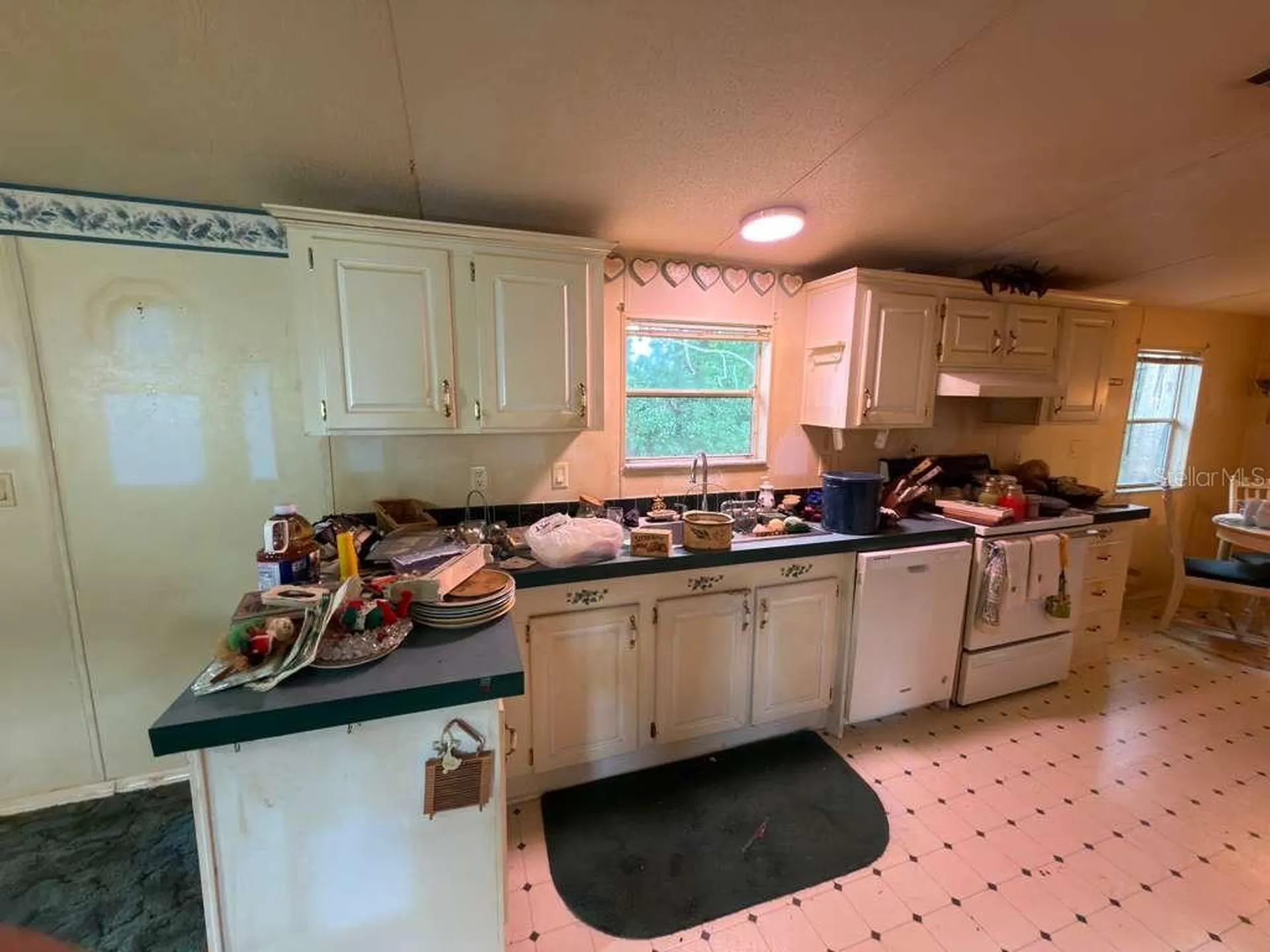 2011 Pinewood Lane Mount Dora FL 32757