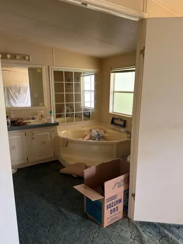 2011 Pinewood Lane Mount Dora FL 32757