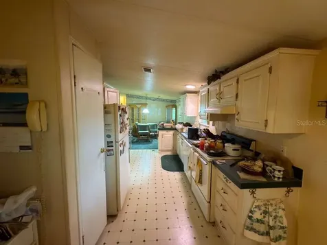 2011 Pinewood Lane Mount Dora FL 32757