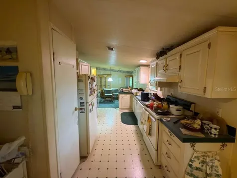 2011 Pinewood Lane Mount Dora FL 32757